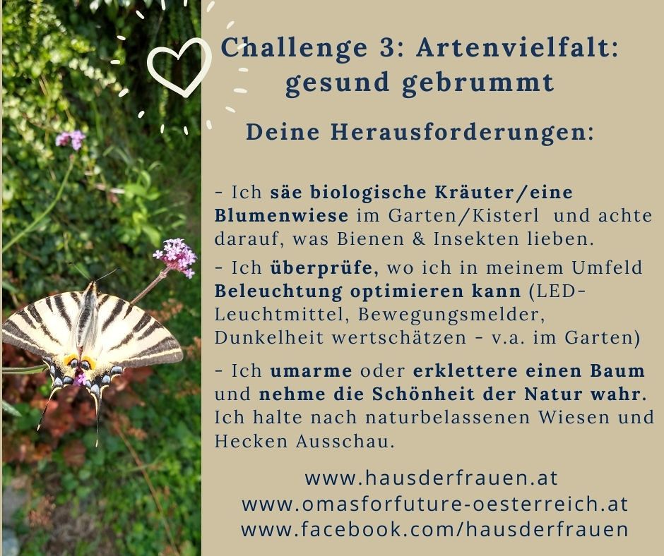 Unsere Challenges für die letzten beiden Wochen drehen sich rund um das Thema Artenschutz.