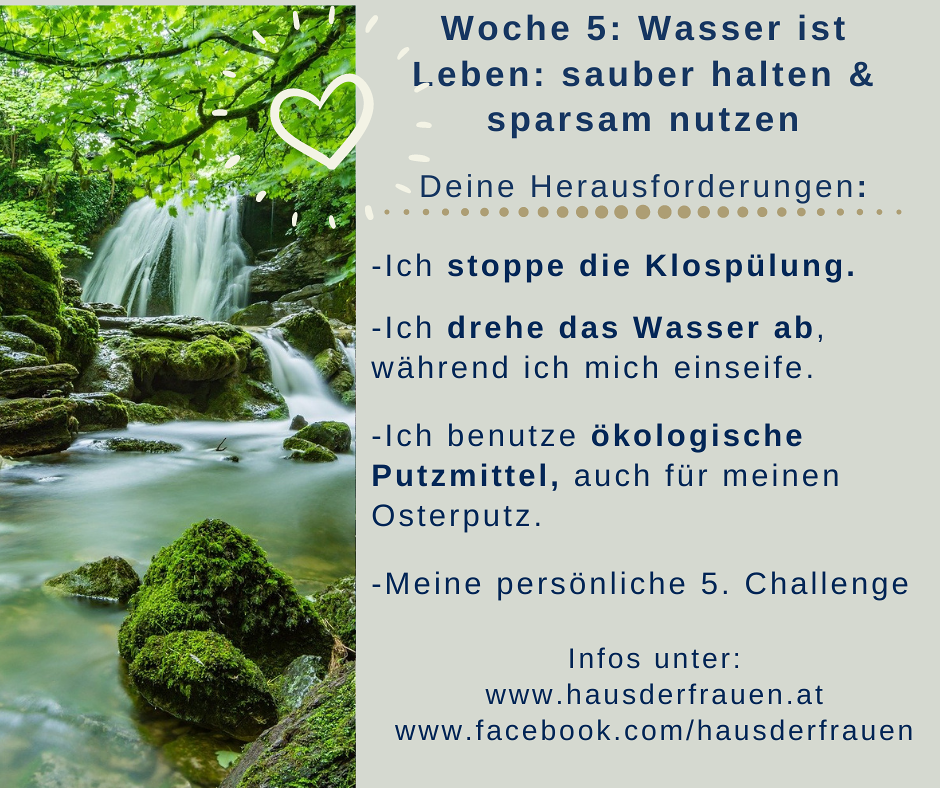 Unsere Challenges für die Woche 5 der Klima-Challenge sind da! Mach mit!
