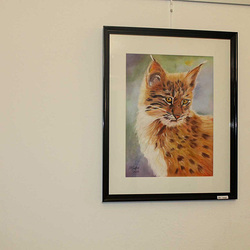 Luchs - Pastell auf Papier