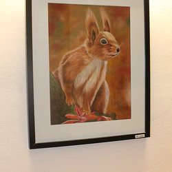 Eichhörnchen - Pastell auf Papier