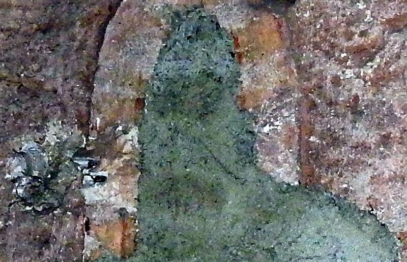 Fenster / Hans Preitler Fenster