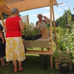 Pflanzen von Familie Harb