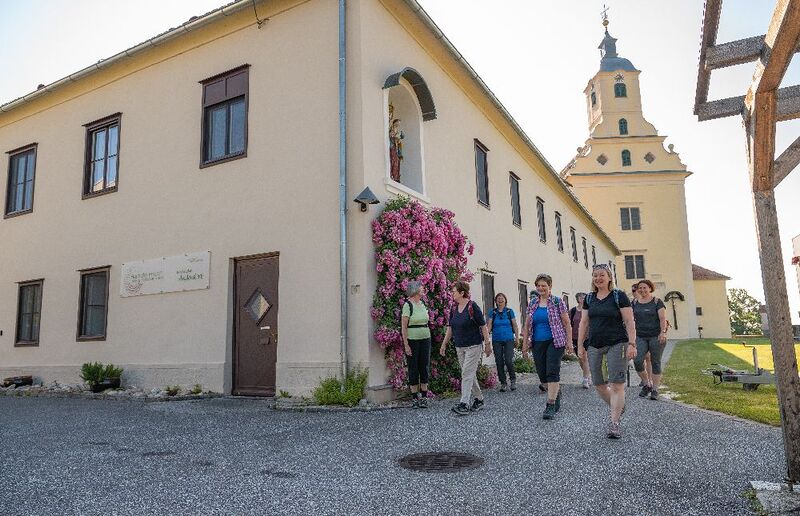 Tauch mit uns in Pilgern ein!