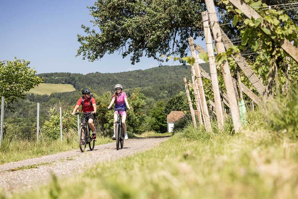 Pärchen beim Fahrradfahren durch die Weingärten der Oststeiermark