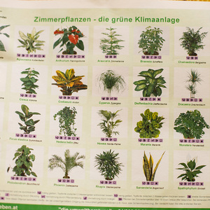 Grüne Ausstellung / Gerd Neuhold, Sonntagsblatt