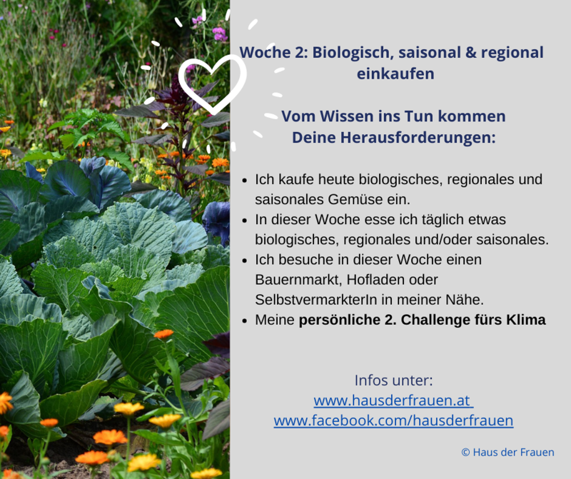 In der zweiten Woche der Klima-Challenge21 dreht sich alles um biologisch, regional & saisonal einkaufen.
